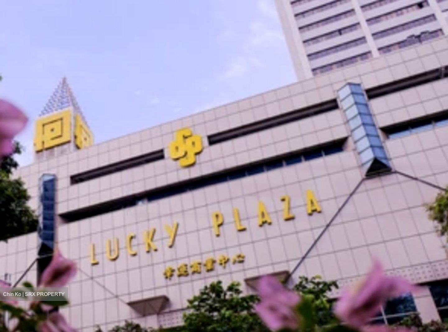Lucky Plaza (D9), Shop House #455472791